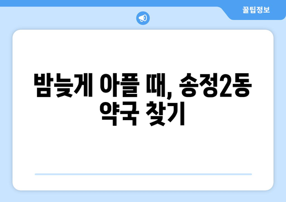 광주시 광산구 송정2동 24시간 토요일 일요일 휴일 공휴일 야간 약국