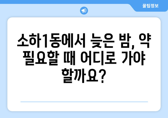 경기도 광명시 소하1동 24시간 토요일 일요일 휴일 공휴일 야간 약국