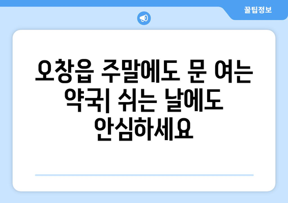 충청북도 청주시 청원구 오창읍 24시간 토요일 일요일 휴일 공휴일 야간 약국