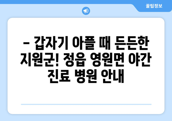 전라북도 정읍시 영원면 일요일 휴일 공휴일 야간 진료병원 리스트