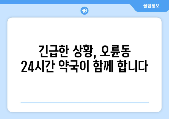 서울시 송파구 오륜동 24시간 토요일 일요일 휴일 공휴일 야간 약국