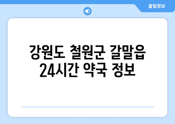 강원도 철원군 갈말읍 24시간 토요일 일요일 휴일 공휴일 야간 약국