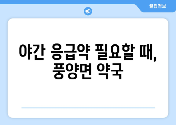 경상북도 예천군 풍양면 24시간 토요일 일요일 휴일 공휴일 야간 약국