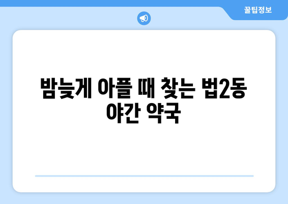 대전시 대덕구 법2동 24시간 토요일 일요일 휴일 공휴일 야간 약국