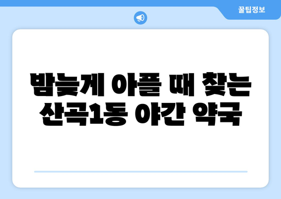 인천시 부평구 산곡1동 24시간 토요일 일요일 휴일 공휴일 야간 약국