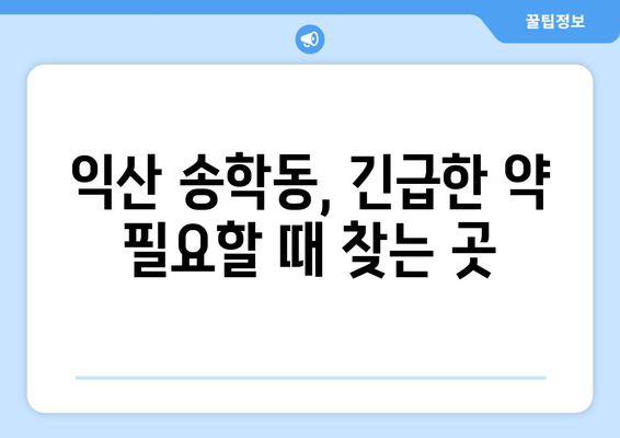 전라북도 익산시 송학동 24시간 토요일 일요일 휴일 공휴일 야간 약국