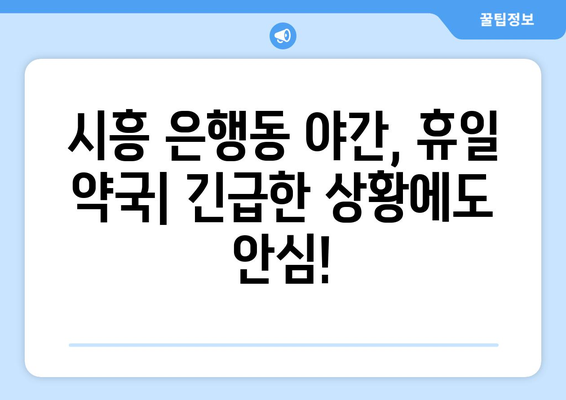 경기도 시흥시 은행동 24시간 토요일 일요일 휴일 공휴일 야간 약국