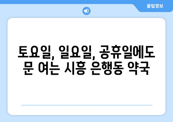 경기도 시흥시 은행동 24시간 토요일 일요일 휴일 공휴일 야간 약국