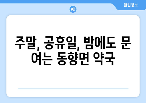 전라북도 진안군 동향면 24시간 토요일 일요일 휴일 공휴일 야간 약국