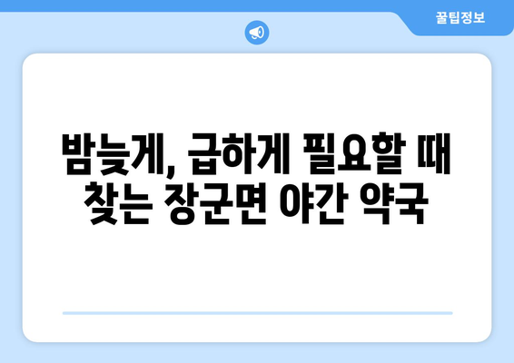 세종시 세종특별자치시 장군면 24시간 토요일 일요일 휴일 공휴일 야간 약국