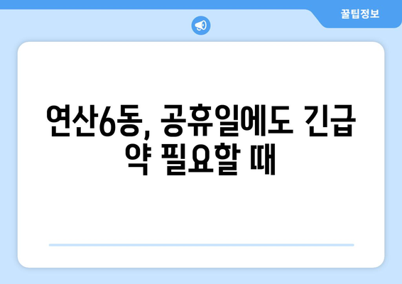 부산시 연제구 연산6동 24시간 토요일 일요일 휴일 공휴일 야간 약국