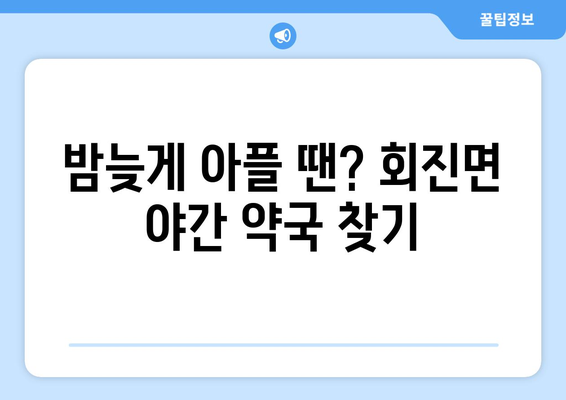 전라남도 장흥군 회진면 24시간 토요일 일요일 휴일 공휴일 야간 약국