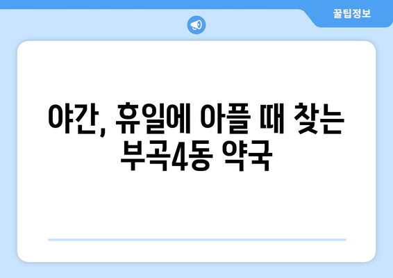 부산시 금정구 부곡4동 24시간 토요일 일요일 휴일 공휴일 야간 약국