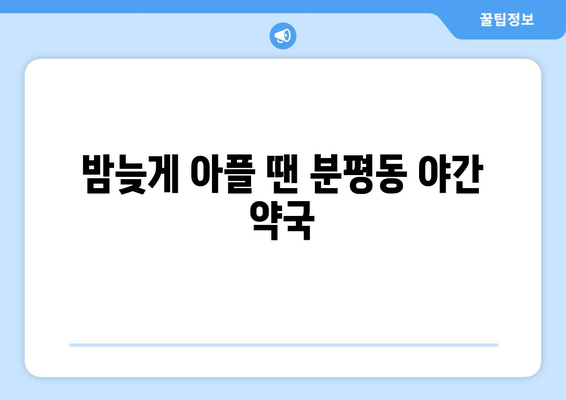 충청북도 청주시 서원구 분평동 24시간 토요일 일요일 휴일 공휴일 야간 약국