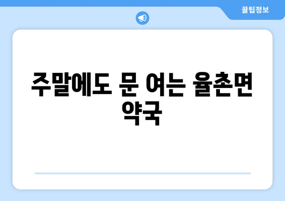 전라남도 여수시 율촌면 24시간 토요일 일요일 휴일 공휴일 야간 약국