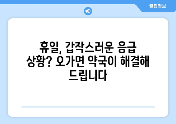 충청남도 예산군 오가면 24시간 토요일 일요일 휴일 공휴일 야간 약국