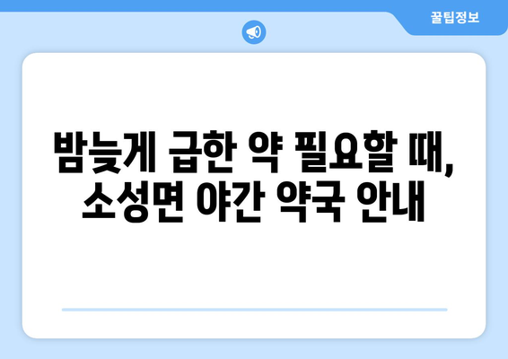 전라북도 정읍시 소성면 24시간 토요일 일요일 휴일 공휴일 야간 약국