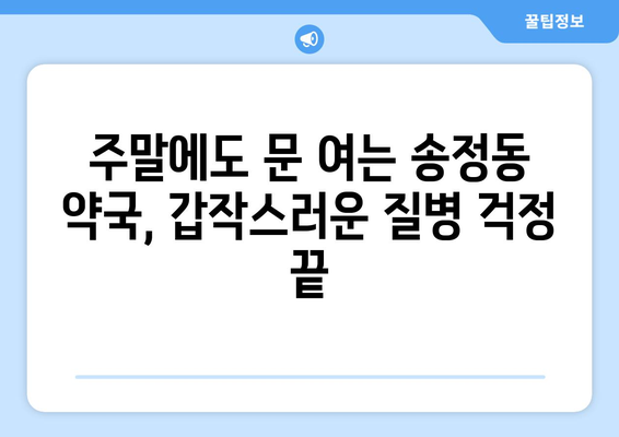 충청북도 청주시 흥덕구 송정동 24시간 토요일 일요일 휴일 공휴일 야간 약국