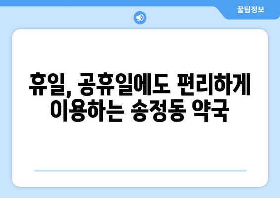 충청북도 청주시 흥덕구 송정동 24시간 토요일 일요일 휴일 공휴일 야간 약국