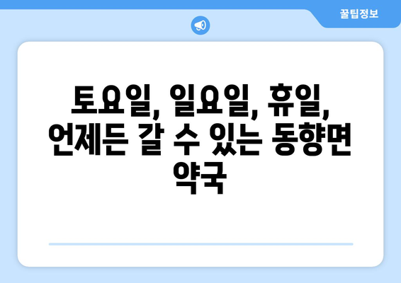 전라북도 진안군 동향면 24시간 토요일 일요일 휴일 공휴일 야간 약국