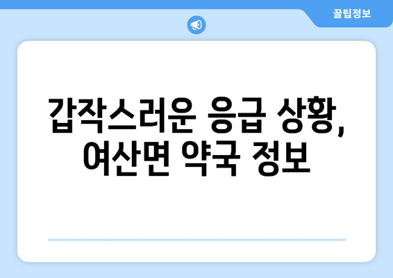 전라북도 익산시 여산면 24시간 토요일 일요일 휴일 공휴일 야간 약국