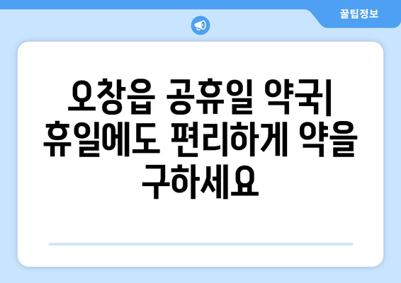 충청북도 청주시 청원구 오창읍 24시간 토요일 일요일 휴일 공휴일 야간 약국