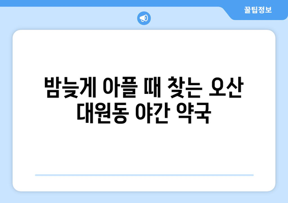 경기도 오산시 대원동 24시간 토요일 일요일 휴일 공휴일 야간 약국