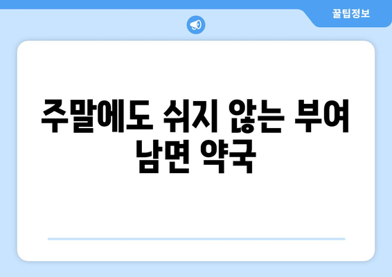 충청남도 부여군 남면 24시간 토요일 일요일 휴일 공휴일 야간 약국