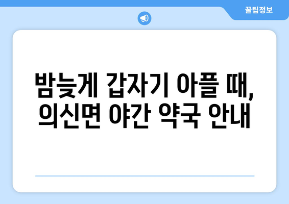 전라남도 진도군 의신면 24시간 토요일 일요일 휴일 공휴일 야간 약국