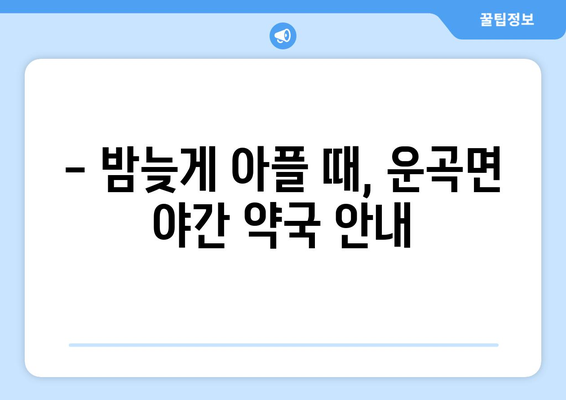 충청남도 청양군 운곡면 24시간 토요일 일요일 휴일 공휴일 야간 약국