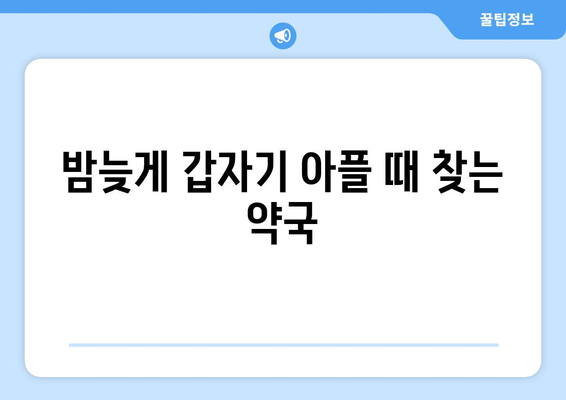 충청남도 논산시 노성면 24시간 토요일 일요일 휴일 공휴일 야간 약국