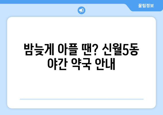 서울시 양천구 신월5동 24시간 토요일 일요일 휴일 공휴일 야간 약국