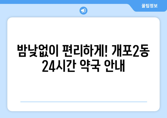 서울시 강남구 개포2동 24시간 토요일 일요일 휴일 공휴일 야간 약국