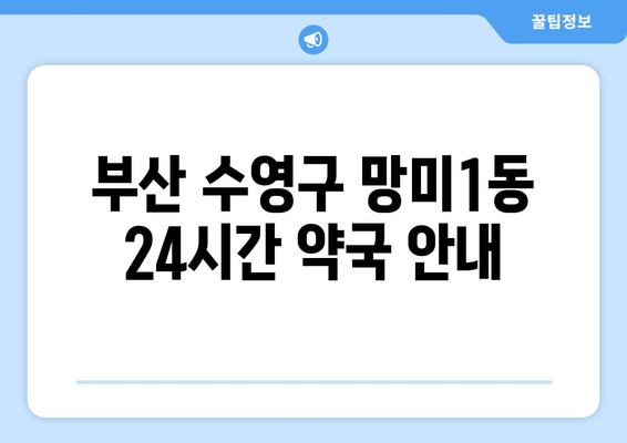 부산시 수영구 망미1동 24시간 토요일 일요일 휴일 공휴일 야간 약국