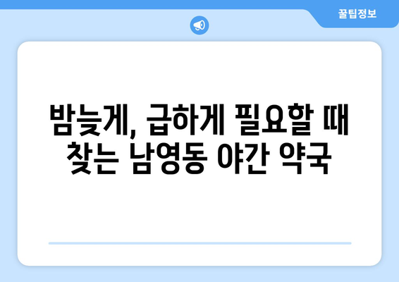 서울시 용산구 남영동 24시간 토요일 일요일 휴일 공휴일 야간 약국