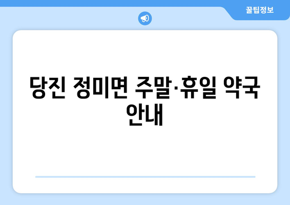 충청남도 당진시 정미면 24시간 토요일 일요일 휴일 공휴일 야간 약국