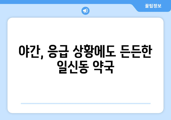 인천시 부평구 일신동 24시간 토요일 일요일 휴일 공휴일 야간 약국