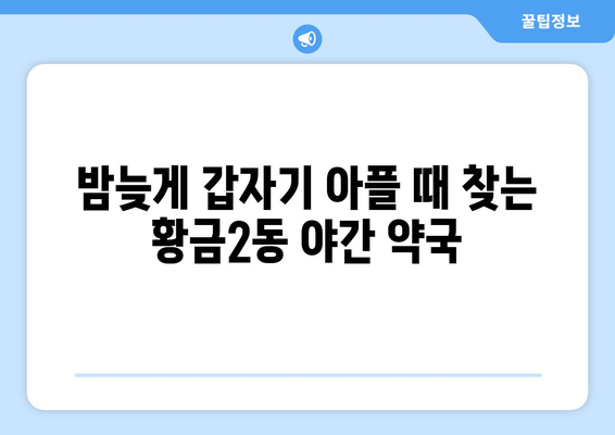 대구시 수성구 황금2동 24시간 토요일 일요일 휴일 공휴일 야간 약국