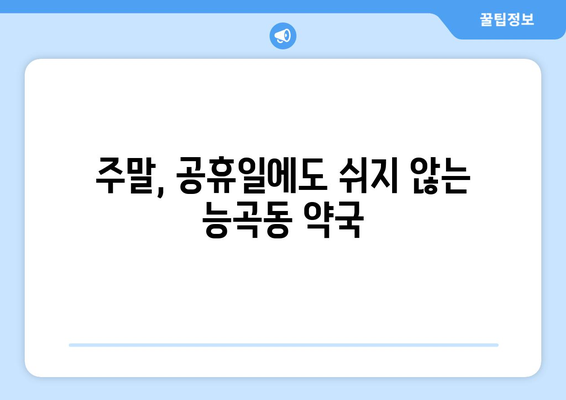 경기도 시흥시 능곡동 24시간 토요일 일요일 휴일 공휴일 야간 약국