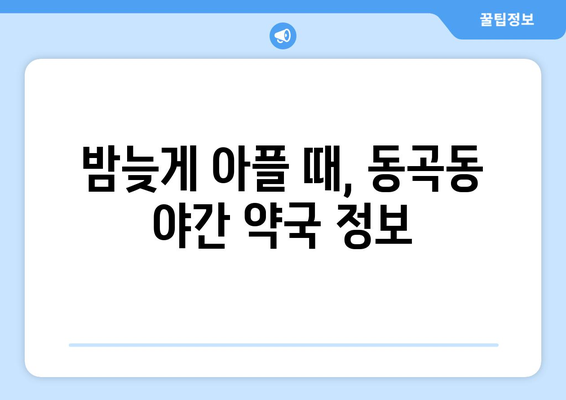 광주시 광산구 동곡동 24시간 토요일 일요일 휴일 공휴일 야간 약국