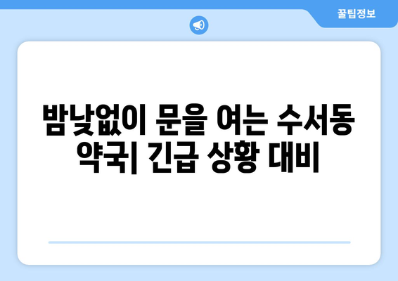 서울시 강남구 수서동 24시간 토요일 일요일 휴일 공휴일 야간 약국