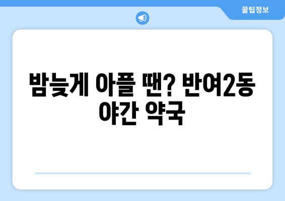 부산시 해운대구 반여2동 24시간 토요일 일요일 휴일 공휴일 야간 약국