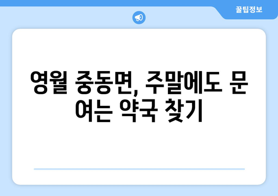 강원도 영월군 중동면 24시간 토요일 일요일 휴일 공휴일 야간 약국