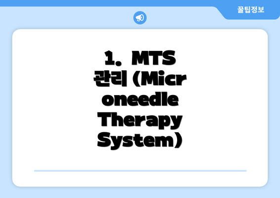 1.  MTS 관리 (Microneedle Therapy System)