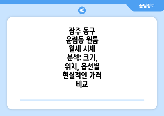 광주 동구 운림동 원룸 월세 시세 분석: 크기, 위치, 옵션별 현실적인 가격 비교