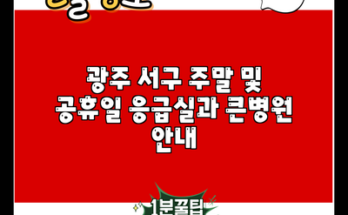 광주 서구 주말 및 공휴일 응급실과 큰병원 안내