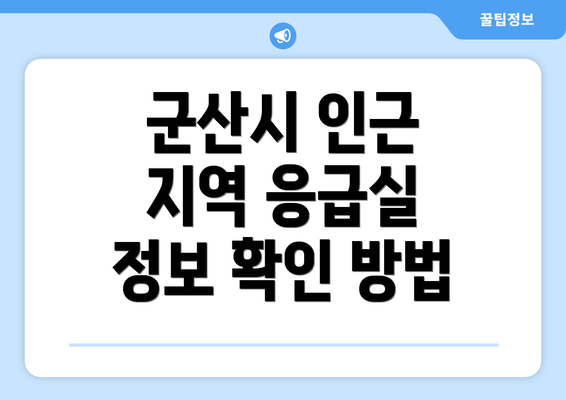 군산시 인근 지역 응급실 정보 확인 방법