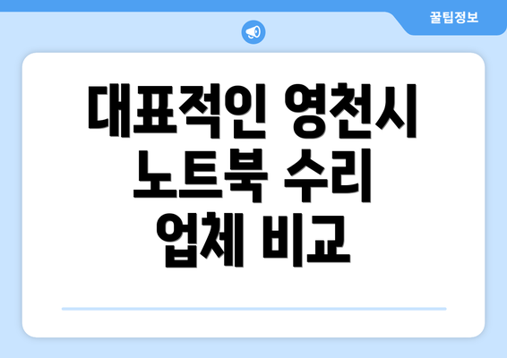 대표적인 영천시 노트북 수리 업체 비교