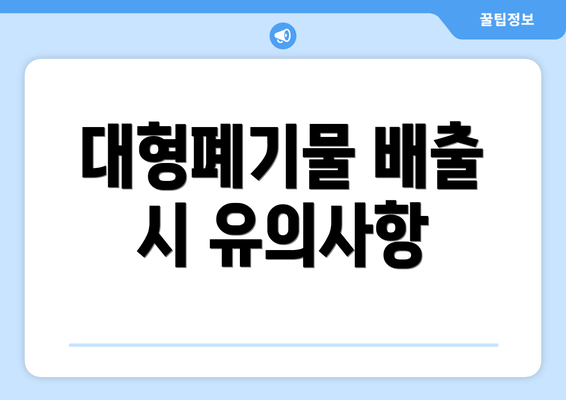 대형폐기물 배출 시 유의사항