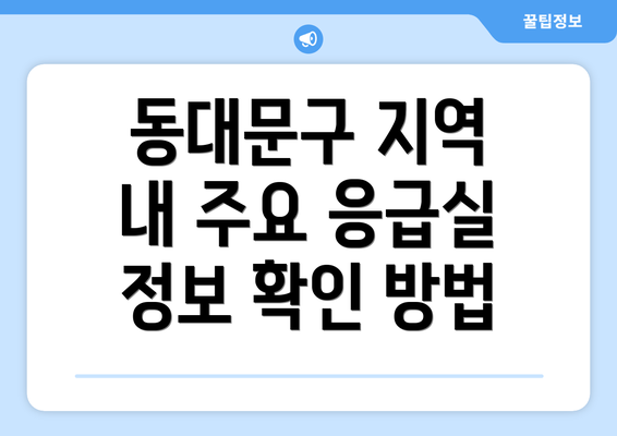 동대문구 지역 내 주요 응급실 정보 확인 방법